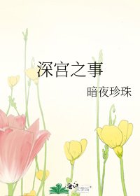 小攻去宫斗