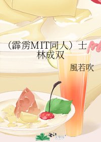 (霹雳MIT同人)士林成双