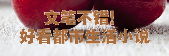 文笔不错！好看都市生活小说