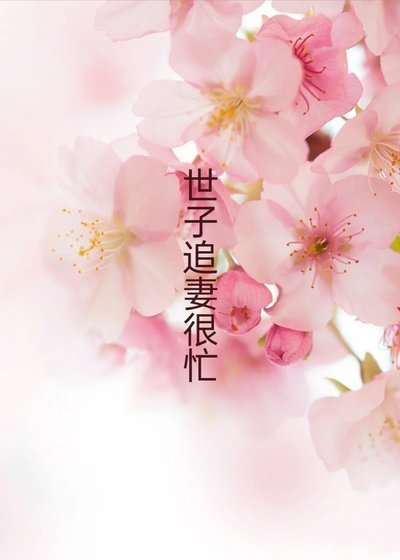 世子追妻很忙,勿扰