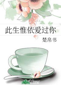 此生惟依爱过你