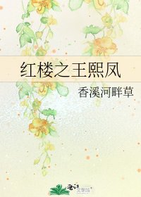 红楼之王熙凤