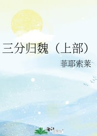 三分归魏(上部)