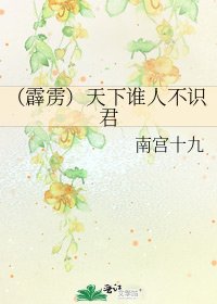 (霹雳)天下谁人不识君