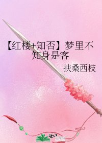 梦里不知身是客(综红楼知否)