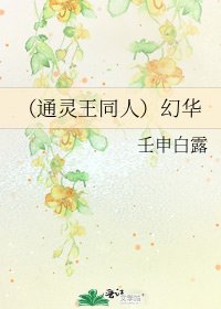 (通灵王同人)幻华