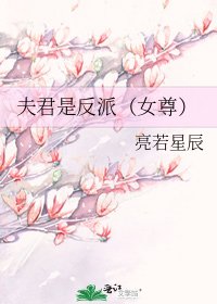 夫君是反派(女尊)