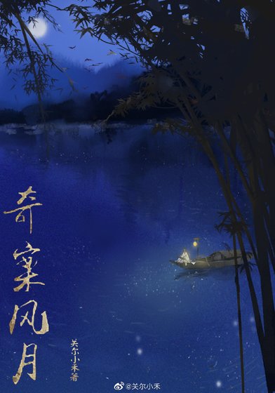 奇案风月