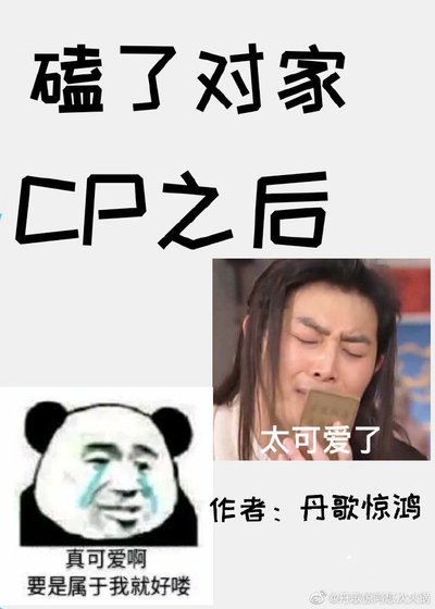 磕了对家CP之后