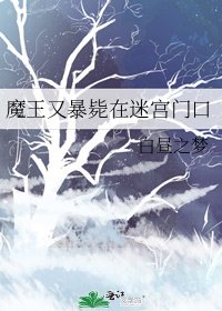 魔王又暴毙在迷宫门口