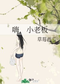 嗨,小老板