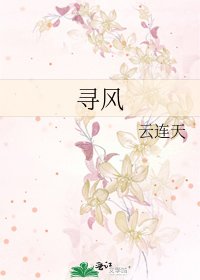 寻风