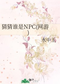 猜猜谁是NPC(网游)