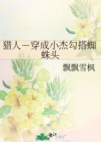 猎人-穿成小杰勾搭蜘蛛头