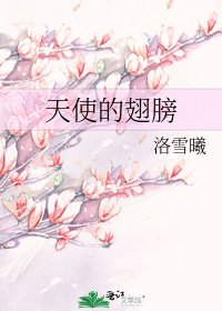 天使的翅膀