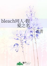 bleach同人-假爱之名