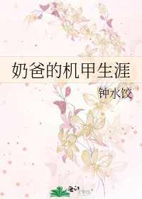 奶爸的機甲生涯