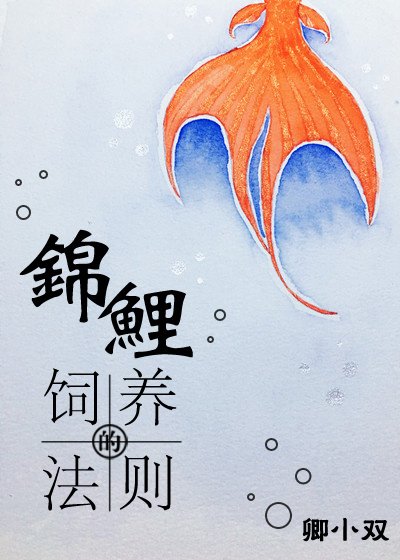 锦鲤的饲养法则