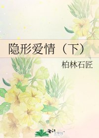 隐形爱情(下)
