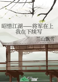 昭惜江湖——将军在上我在下续写