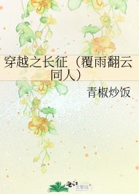 穿越之长征(覆雨翻云同人)
