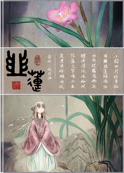韭莲