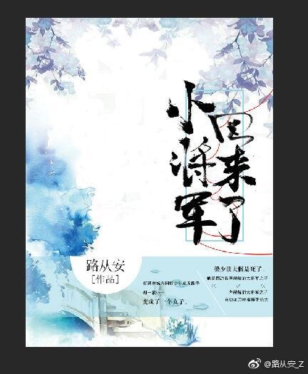 小将军回来了