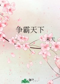 争霸天下