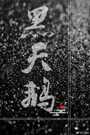 黑天鹅