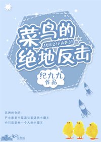 菜鸟的绝地反击