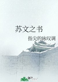 苏文之书