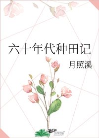 六十年代种田记