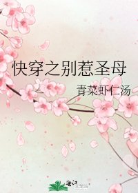 快穿之别惹圣母