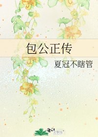 包公正传