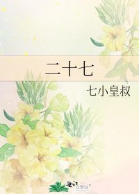 二十七