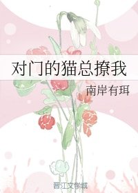 对门的猫总撩我/以猫为饵