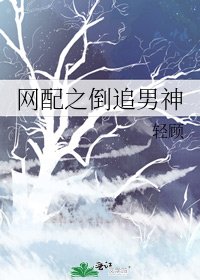 网配之倒追男神