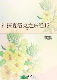 神探夏洛克之东经13°