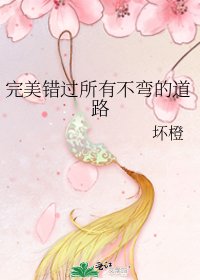 完美错过所有不弯的道路