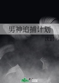 男神追捕计划