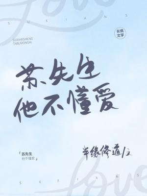 苏先生他不懂爱