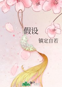 假设
