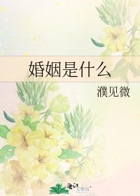 婚姻是什么