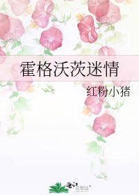 霍格沃茨迷情