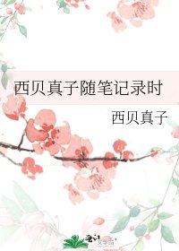 西贝真子随笔记录时