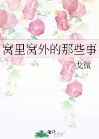 窝里窝外的那些事