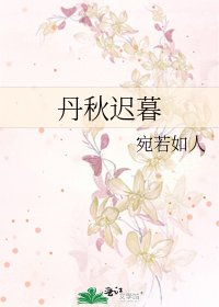 丹秋迟暮