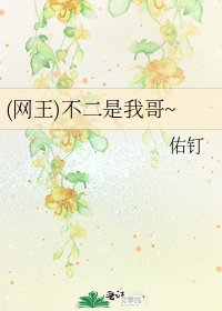 (网王)不二是我哥~
