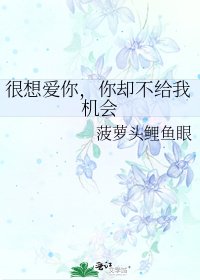 很想爱你,你却不给我机会