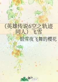 (英雄传说6空之轨迹同人)飞雪